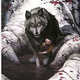Illustration for article titled The covers for the Japanese editions of emGame of Thrones/em are incredible